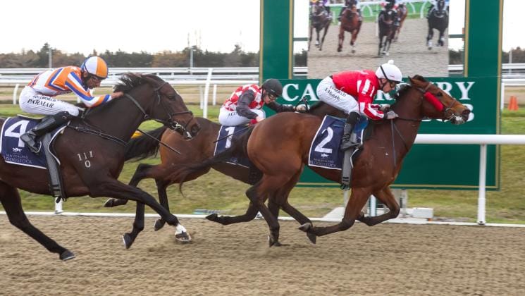 Pitmans leading the way