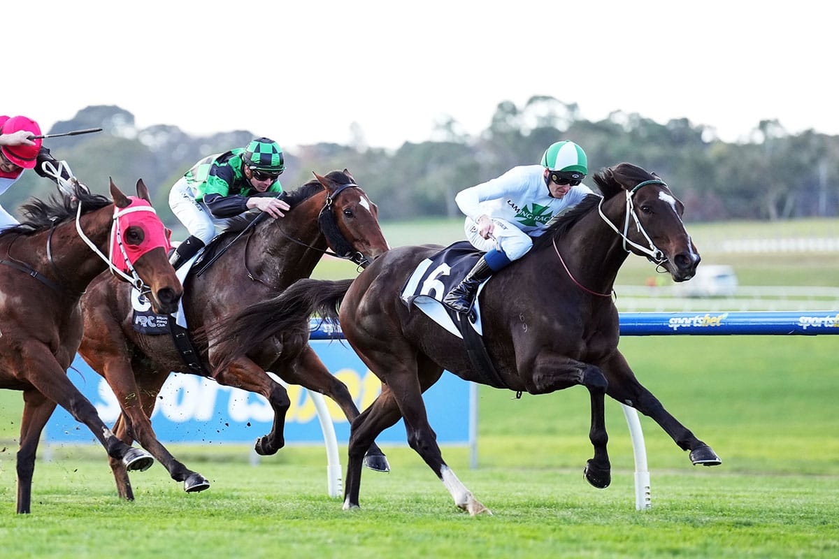 Name Dropper remains undefeated