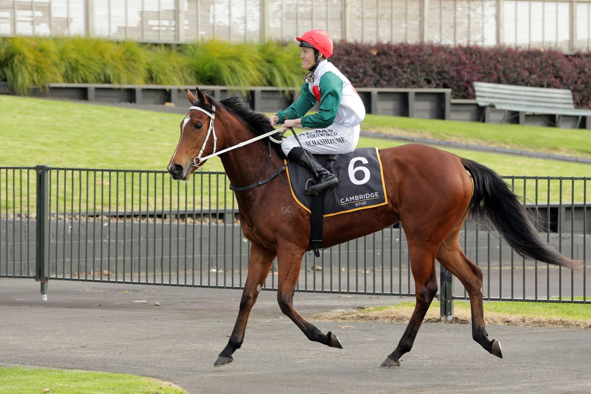 Ortega earns shot at stakes race