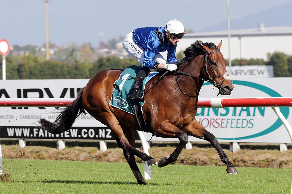 Pokuru Gold aiming for four from four