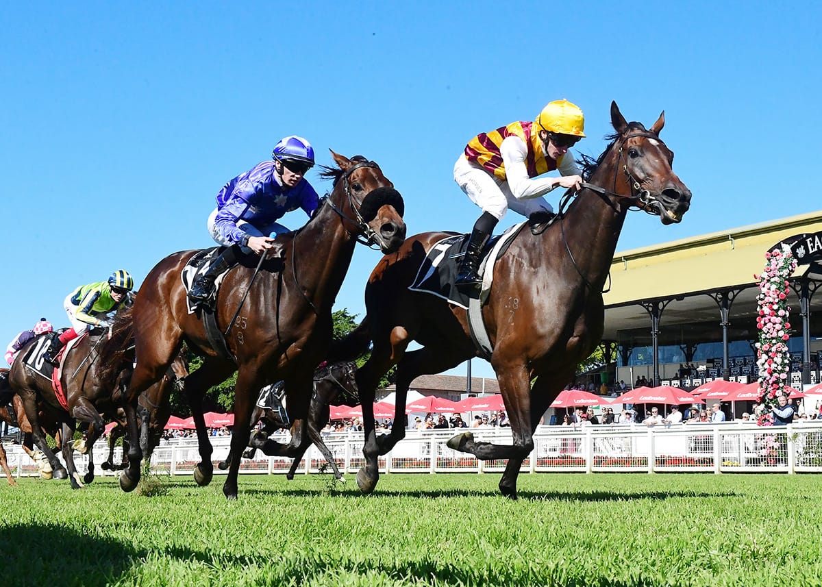 Perfect tune-up for Princess Rhaenys