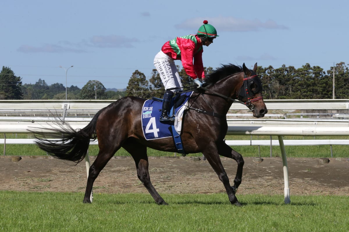 Australian couple secures stakes-winning Kiwi mare for Super Seth