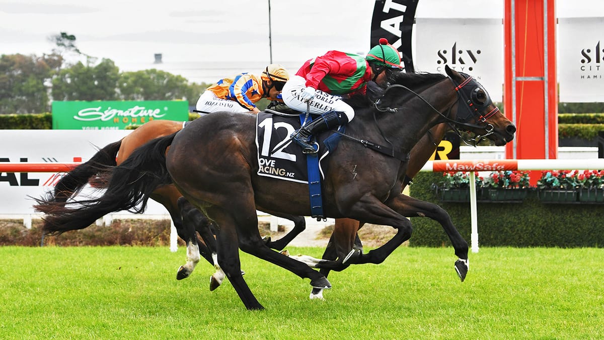 Better Times Tauranga bound