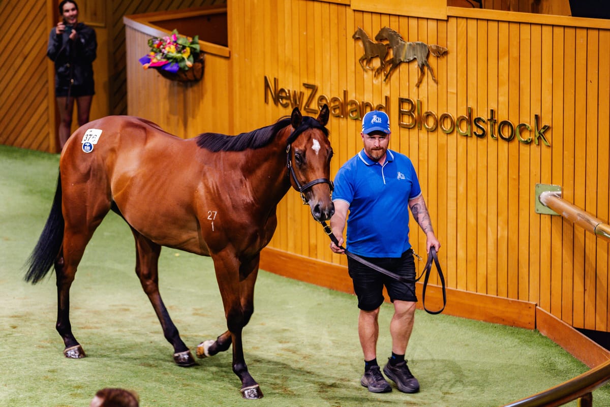 Entries Open for the World’s Best Breeze Up Sale 