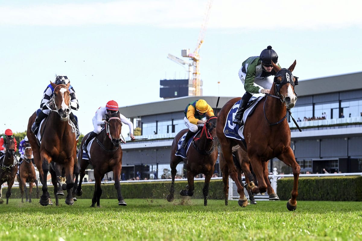 Blinkers bring the best out of Defining