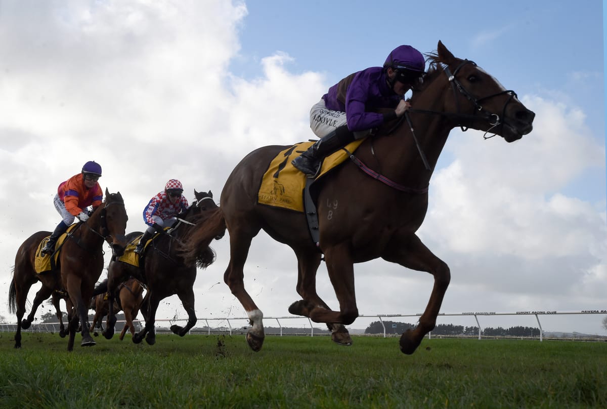 Belardo Boy scores another stakes success