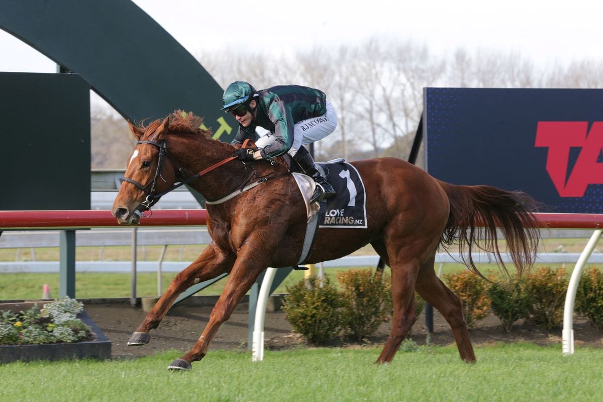 Blondie makes impressive return