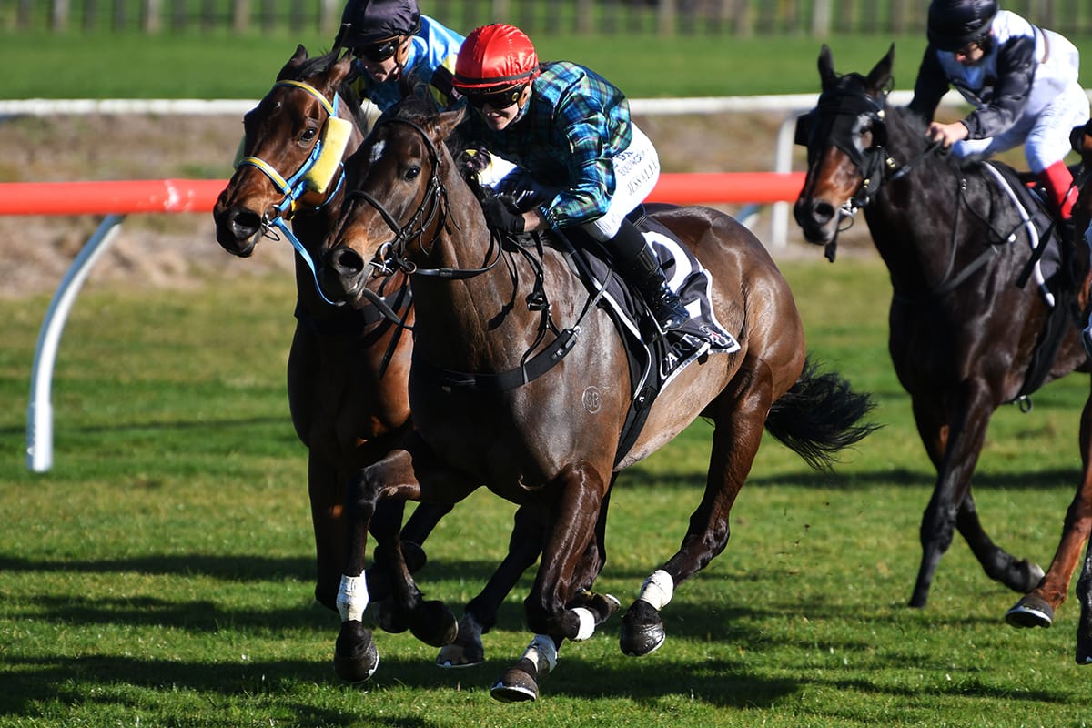 Gerard well-represented at southern meeting