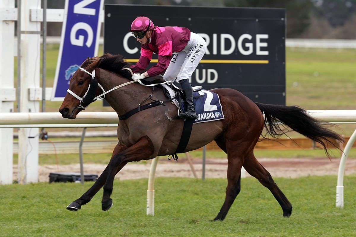 Smart three-year-old doing family proud