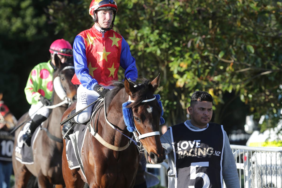 Miller looking for Taranaki win