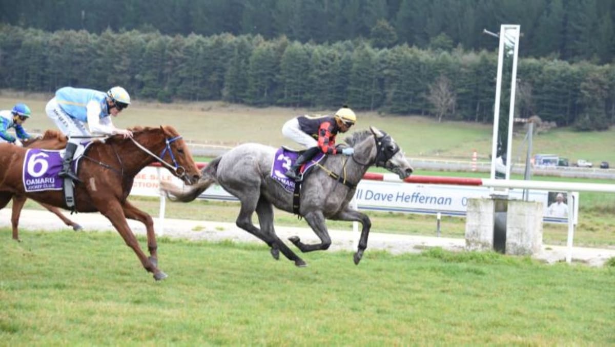 Diablo Blanco all class at Oamaru