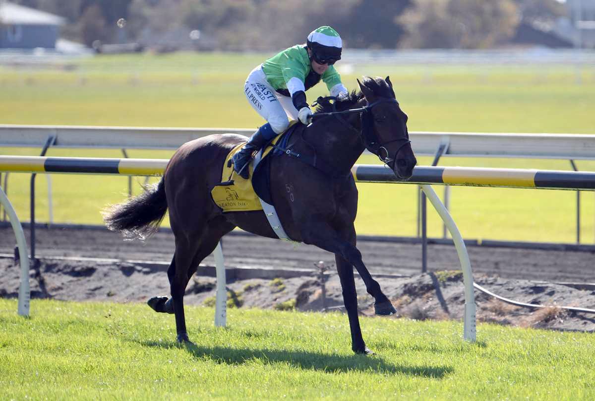 Eliud looking to round out campaign with Flemington success