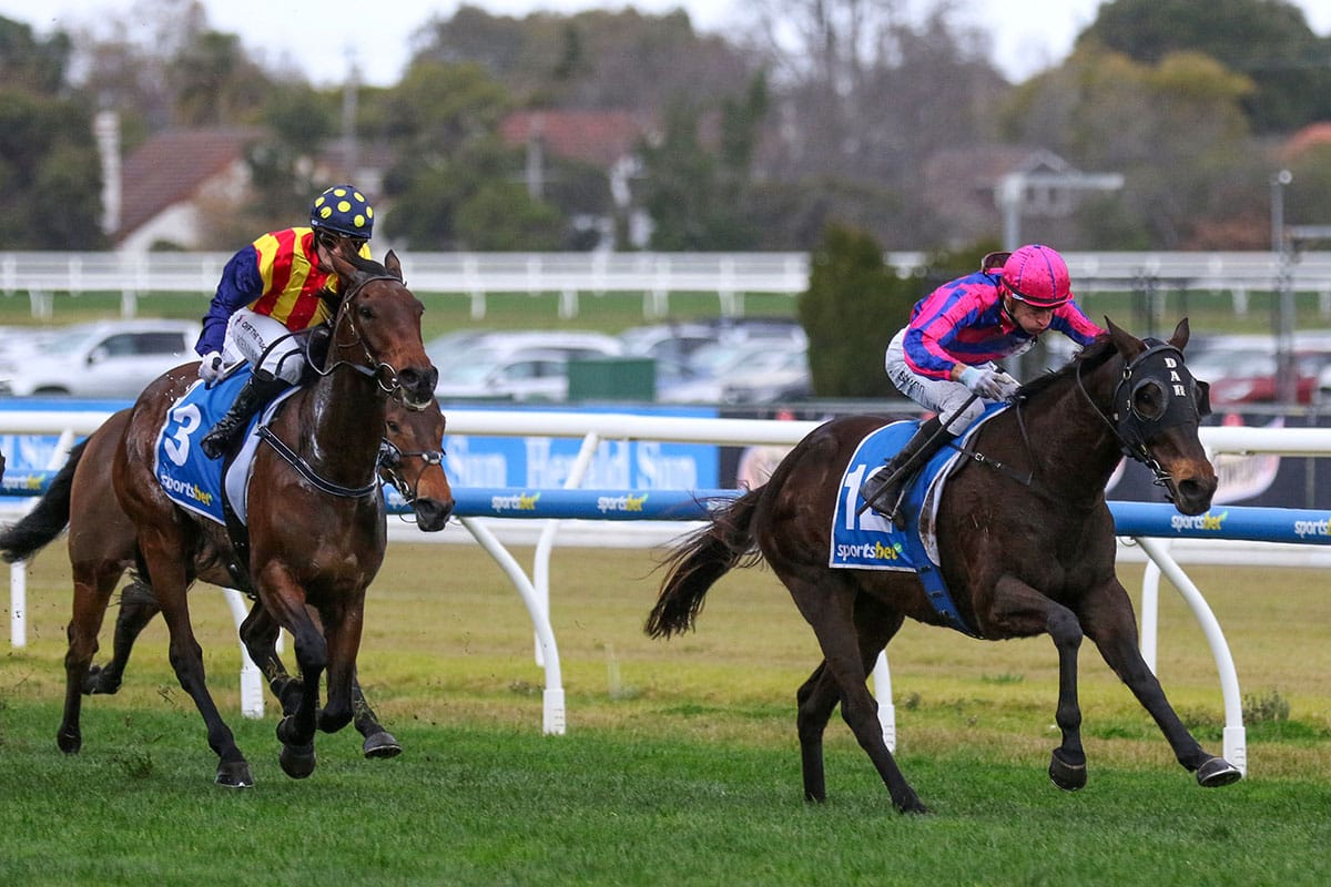 Jabbawockeez masters 2000m at Caulfield