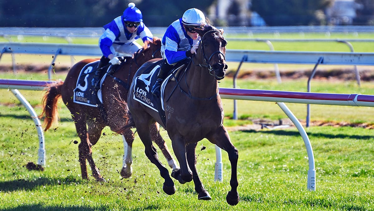 Willit wins at Rotorua