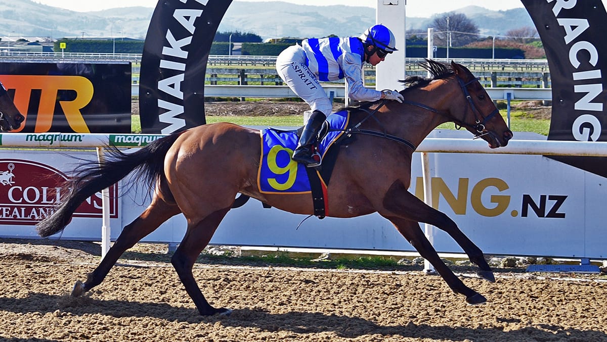 Synthetic specialist eyeing six-figure prize