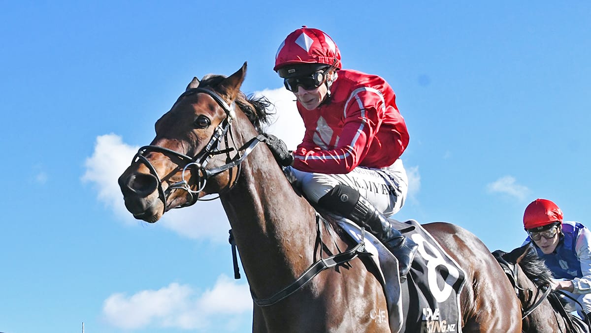 Bradley trio set for Pukekohe meeting