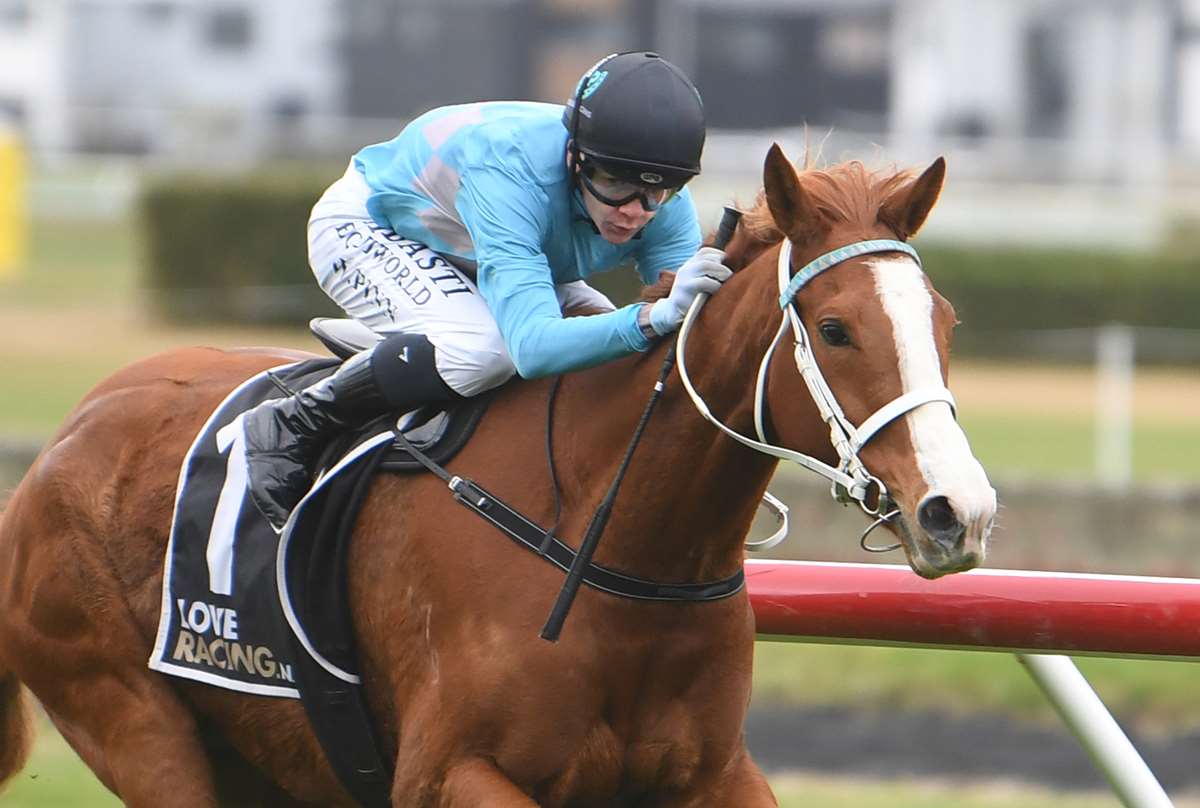 Knight's Realm eyeing black-type target