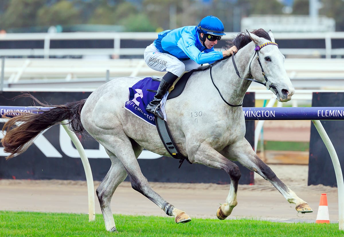 Five-length Flemington romp for Le Zebra