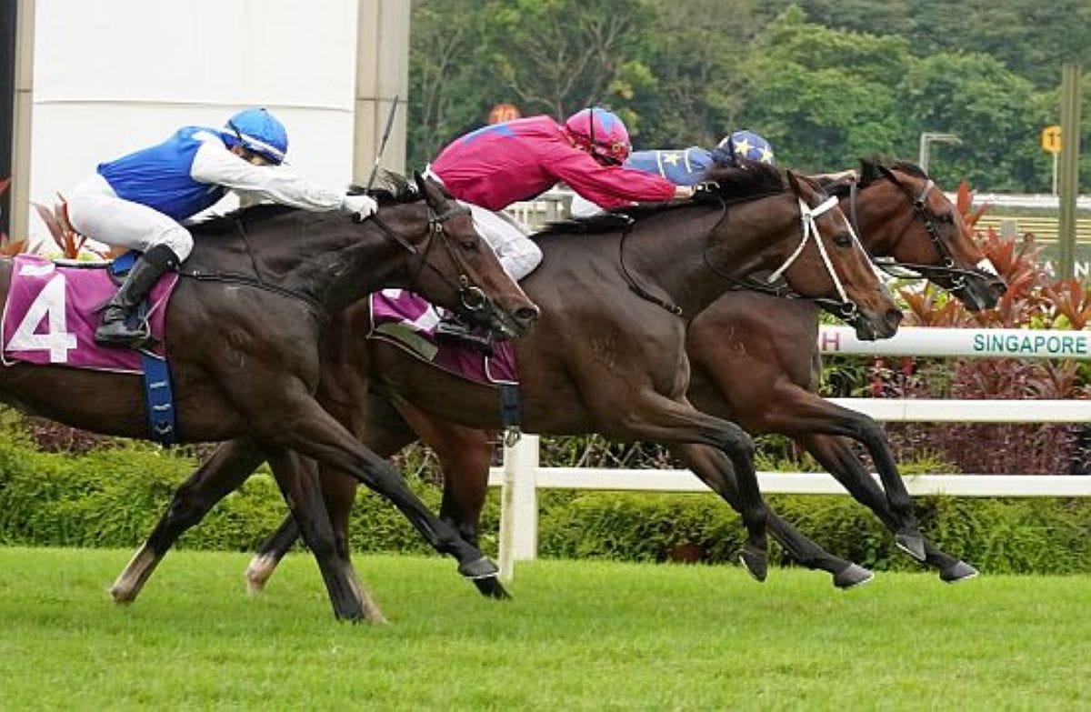 Lim's Saltoro wins Stewards Cup