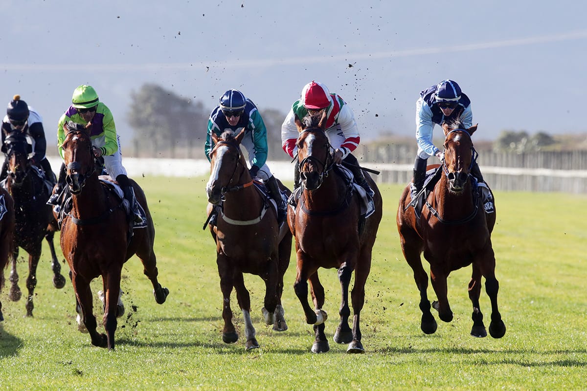 Malt Time continues perfect Ruakaka record