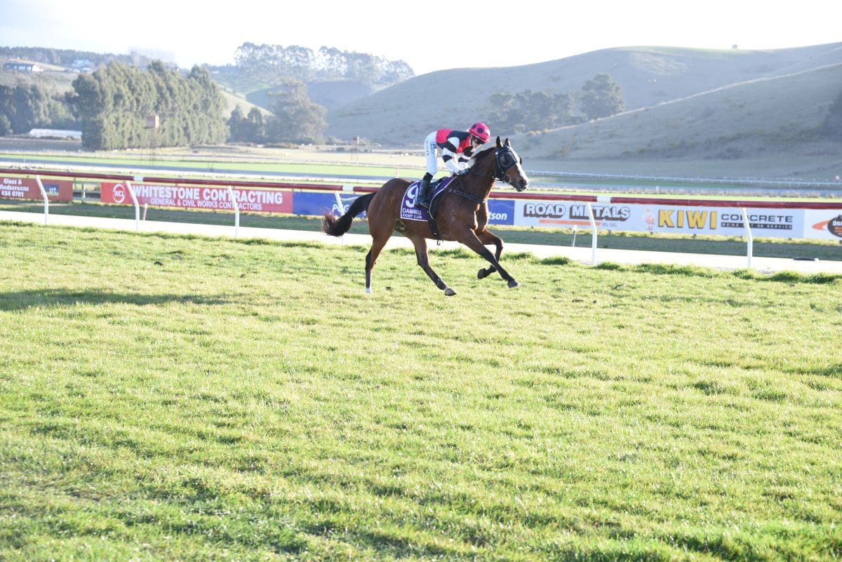 Marko enters Winter Cup picture with Oamaru romp