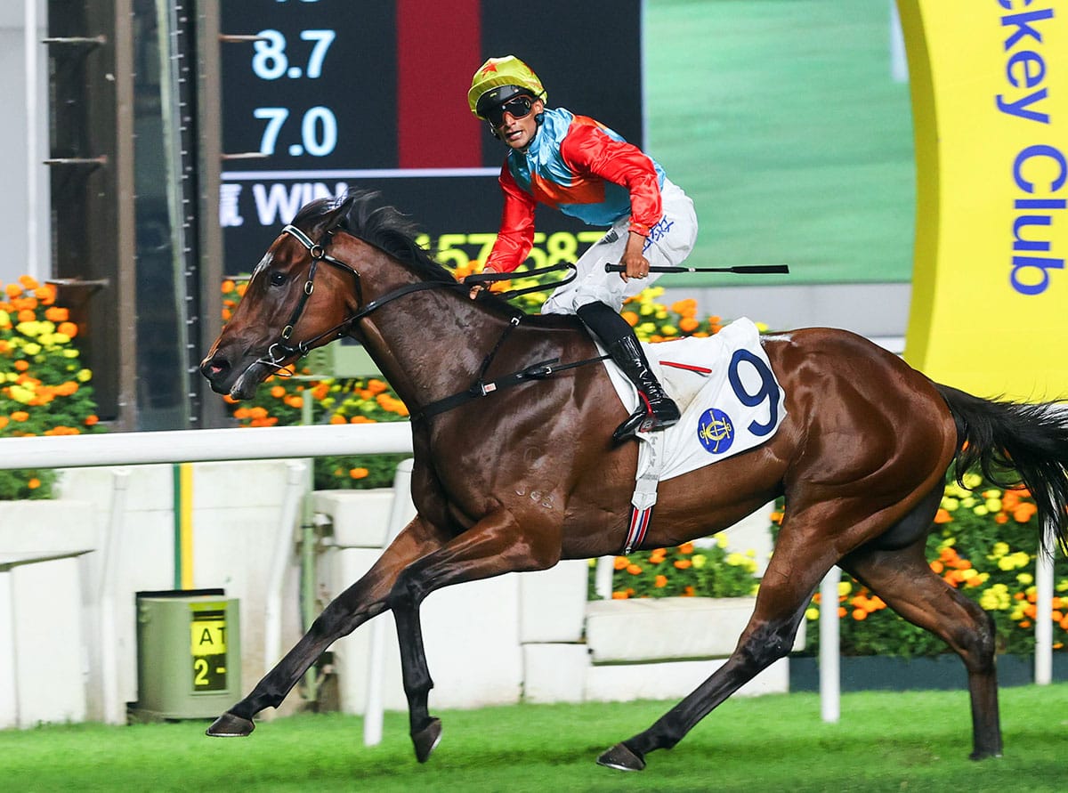 NZ-bred a rising star in Hong Kong