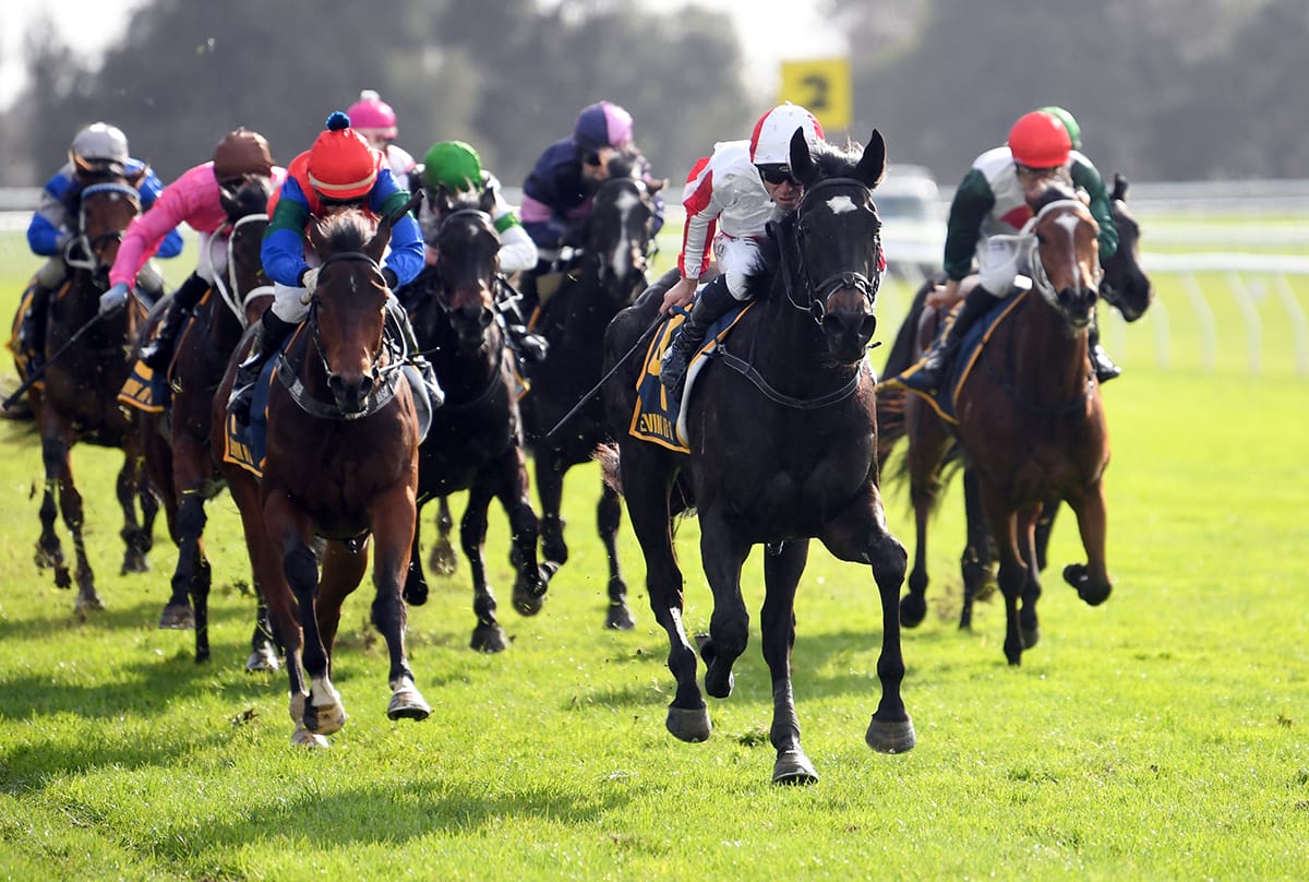 Read About It makes headlines winning the Listed Ryder Stakes