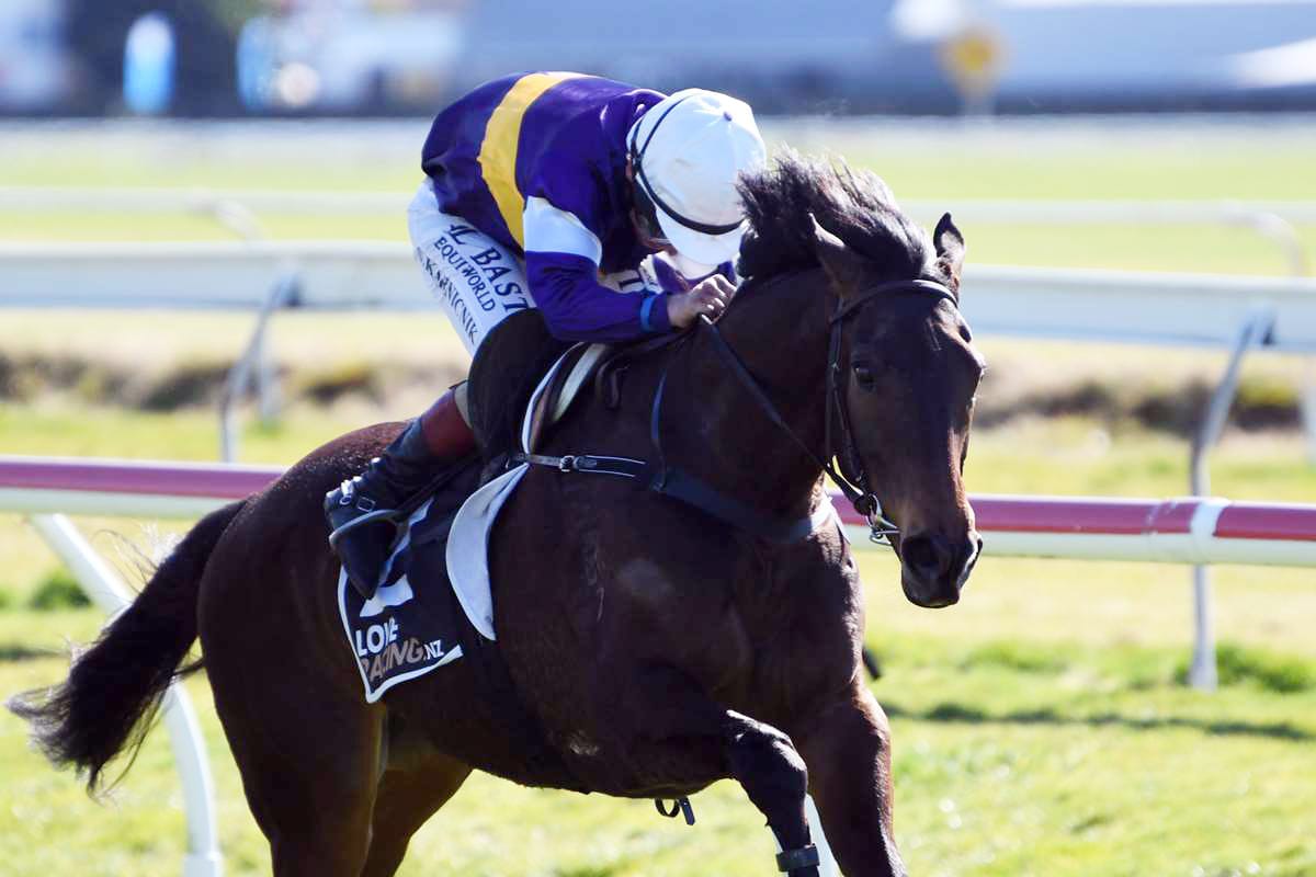 Smug will be seeking a prestige win at Trentham