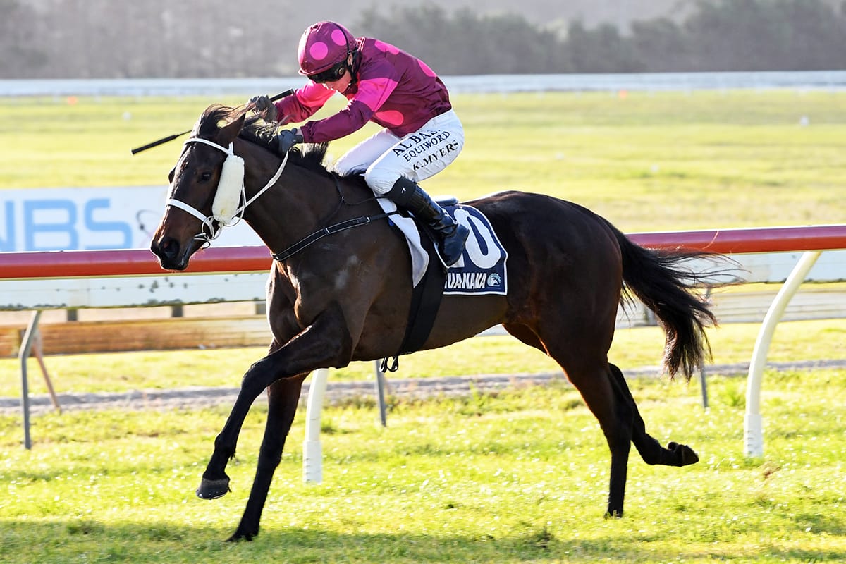 Local trainers Rae and Williams continue a successful run with Tide And Time