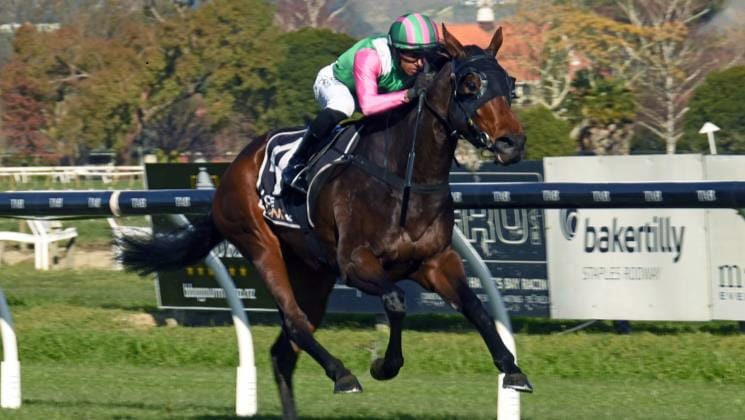 Wessex all class at Hastings