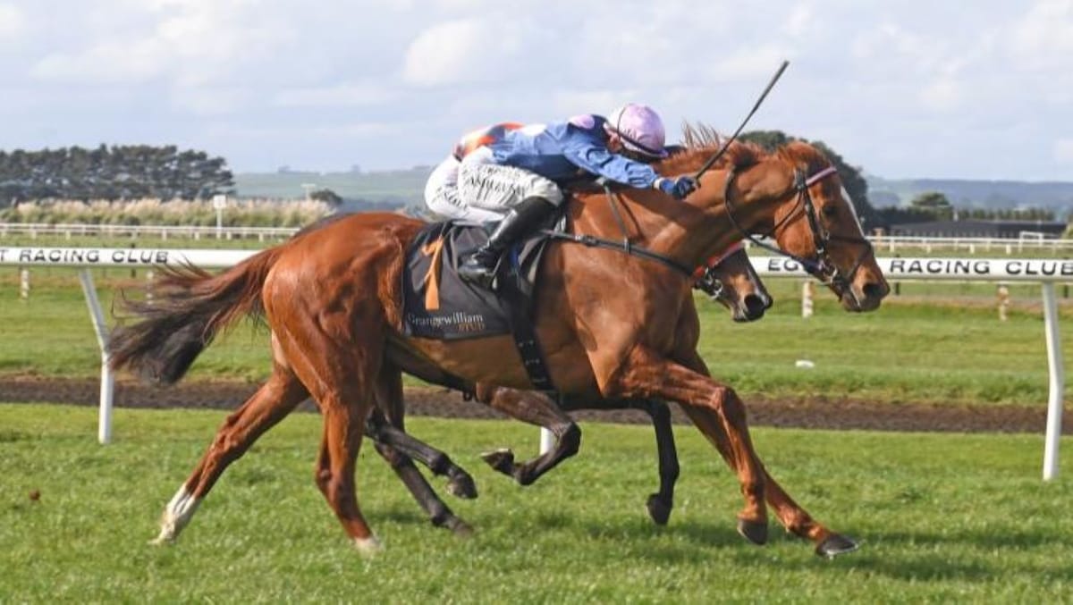 Back-to-back for Battle Secret