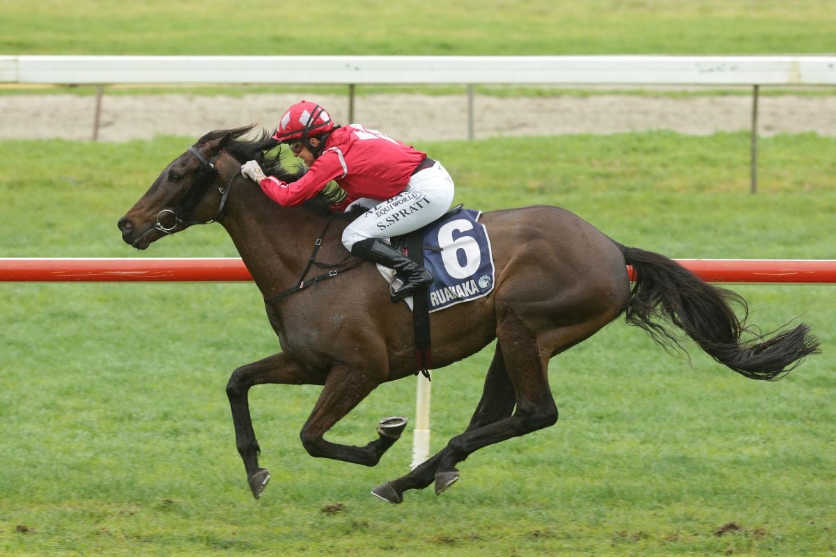 Bosch bold in Ruakaka redemption