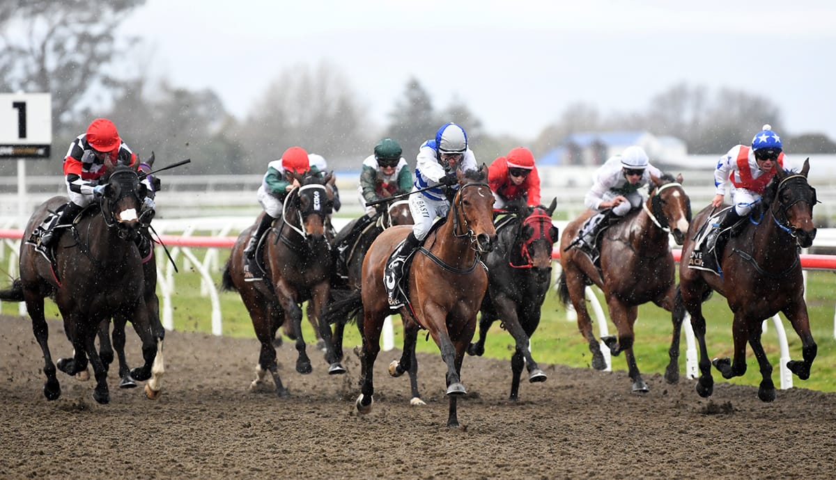 Huluava of a week for Pencarrow broodmare