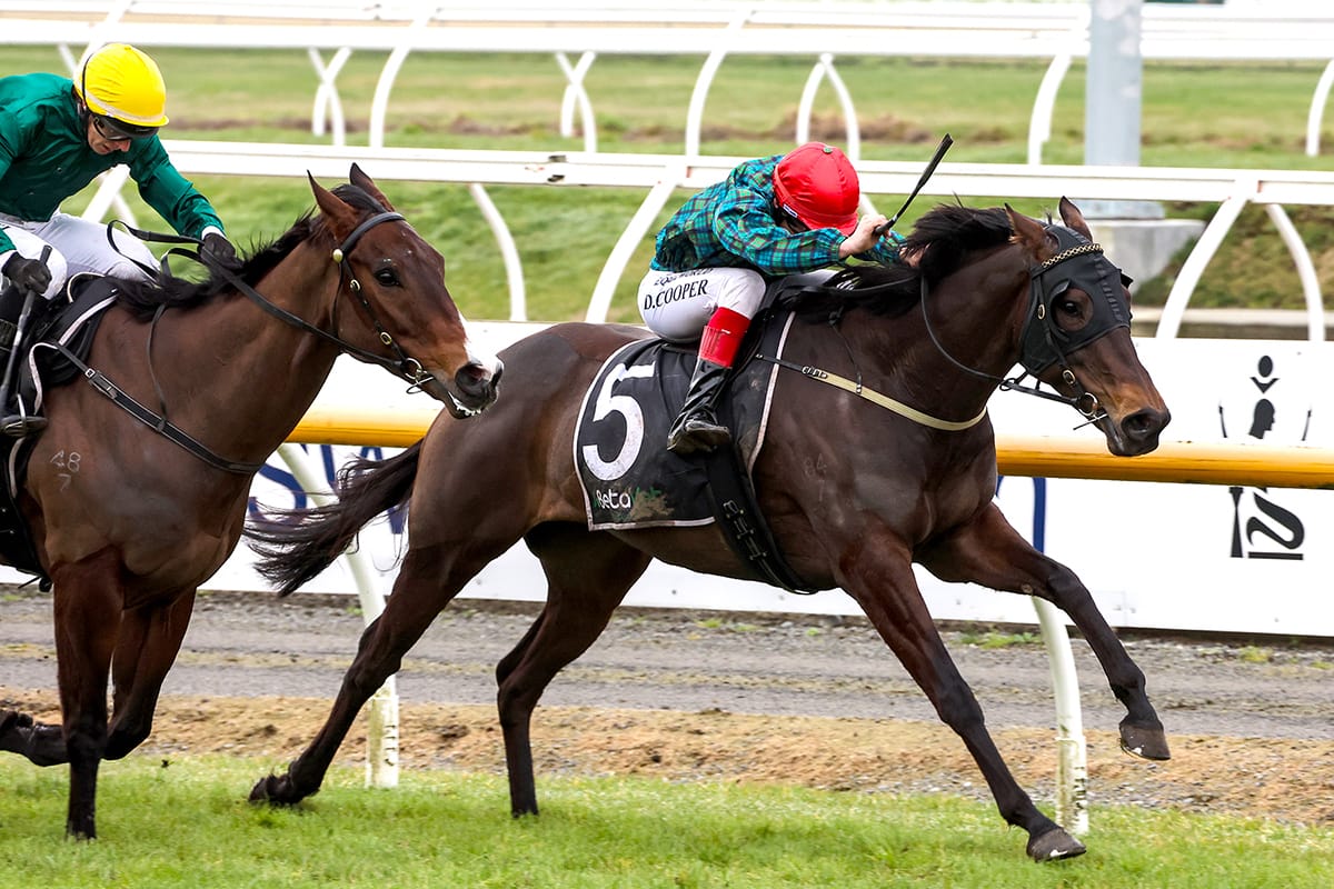 Cork beams on back-up at Riccarton