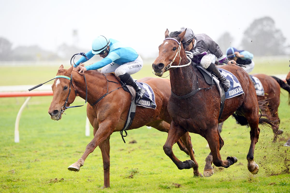 Crocetti’s new campaign gets off to a winning start