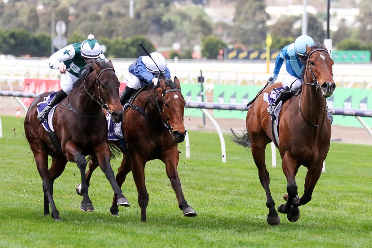 Crosshaven ready for Aurie’s Star