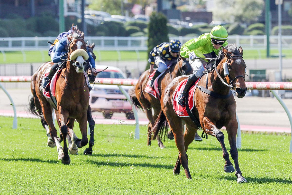 Dashing Duchess stakes claim for higher honours