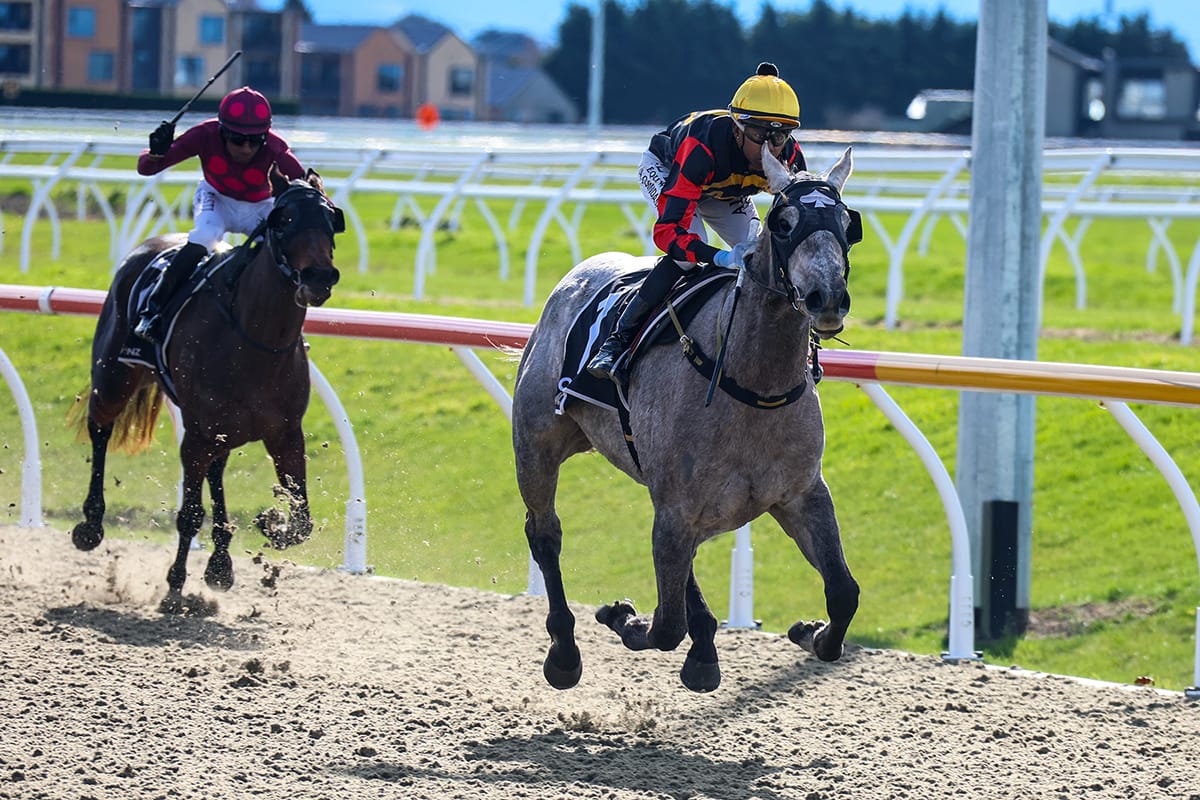 Diablo Blanco continues consistent form at Riccarton