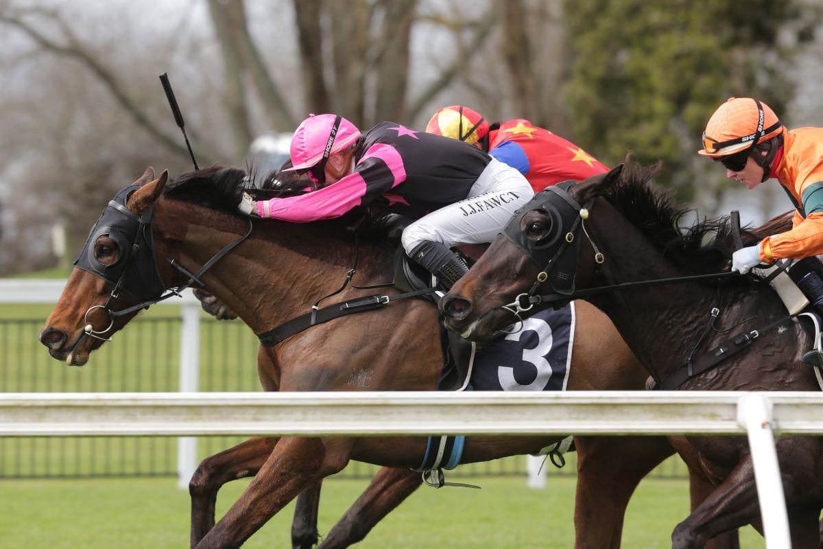 Diamond Jak caps big double for Brosnan brothers