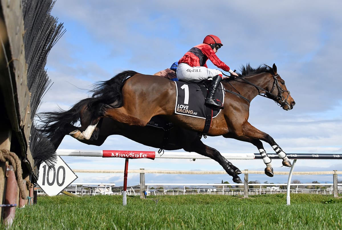 Dictation gets his redemption at Riccarton