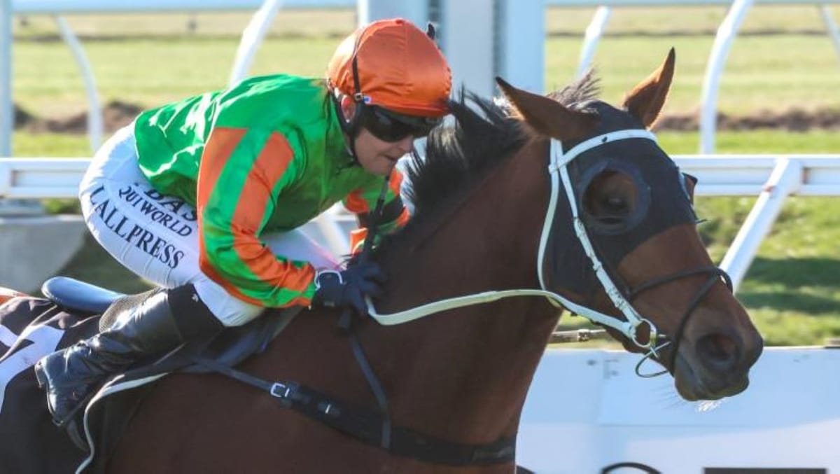 Donnybrook delivers sentimental win for Allpress