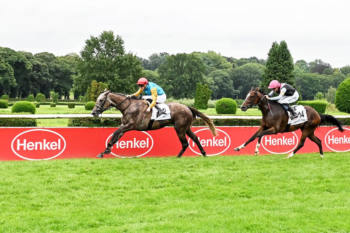 German Oaks winner for Reliable Man