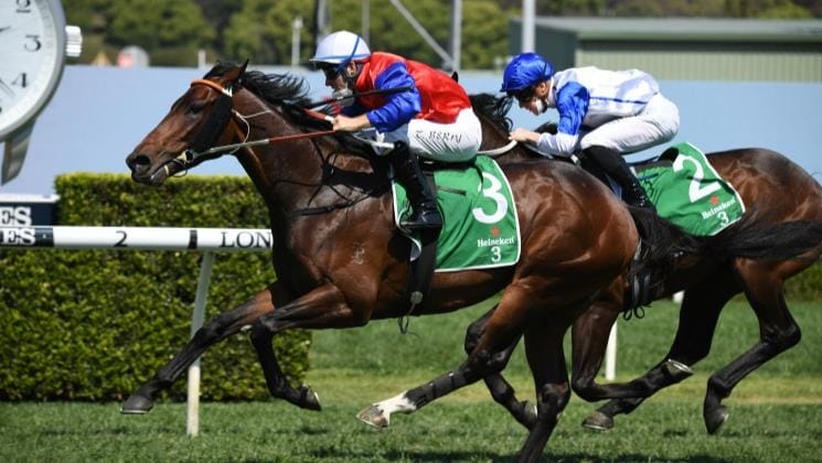 Grangewiliam’s Hilal proving to be a big hit with breeders