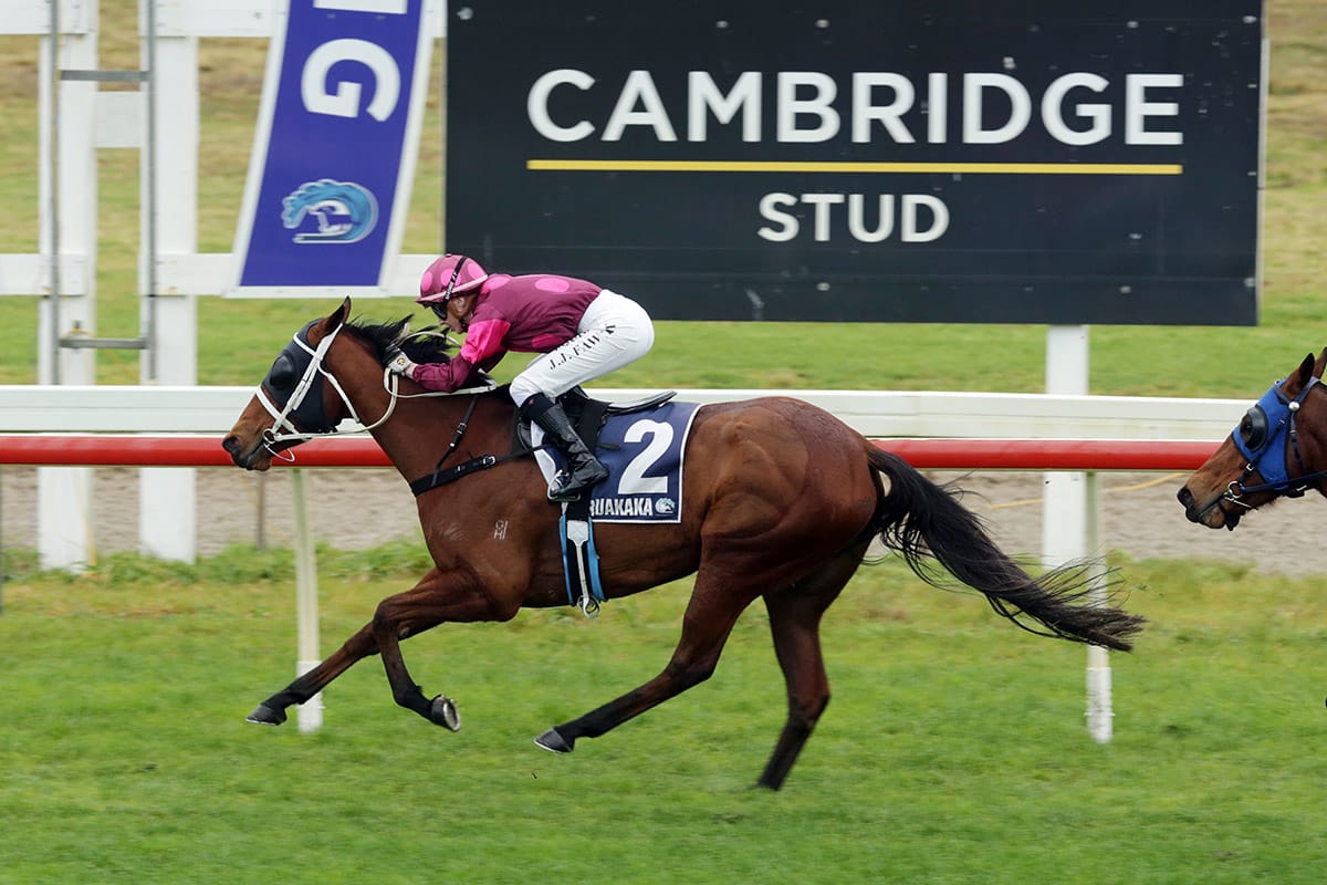 Stakes targets for Illicit Dreams
