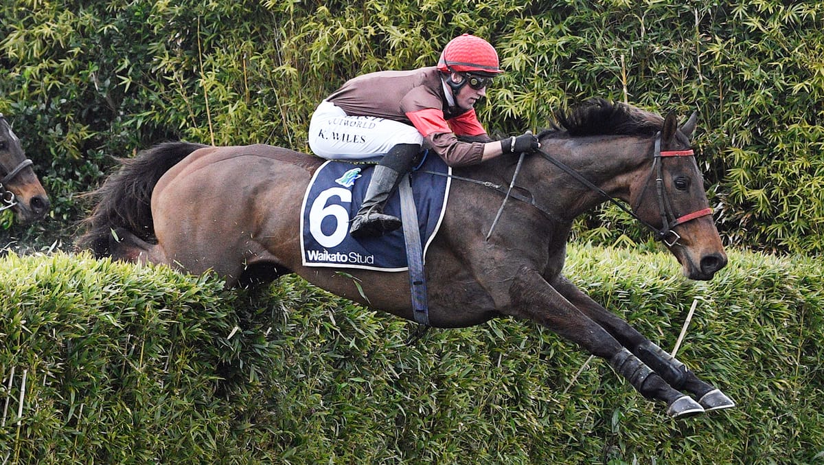 Famous colours salute in Pakuranga Hunt Cup