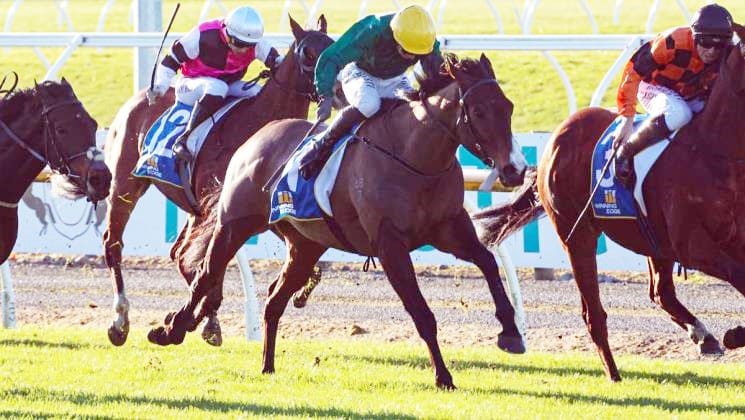 Memorable Riccarton double for Pencarrow