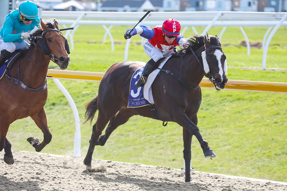 La Bella Nera beats stablemate