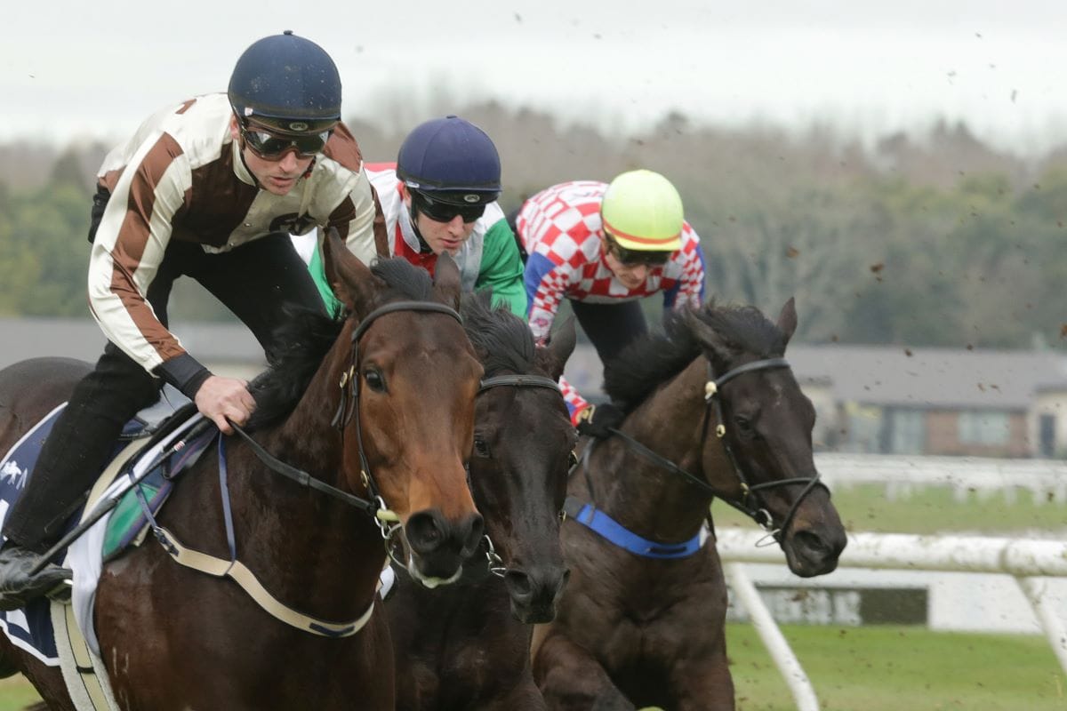 Legarto ruled out of Hawke’s Bay Spring Carnival