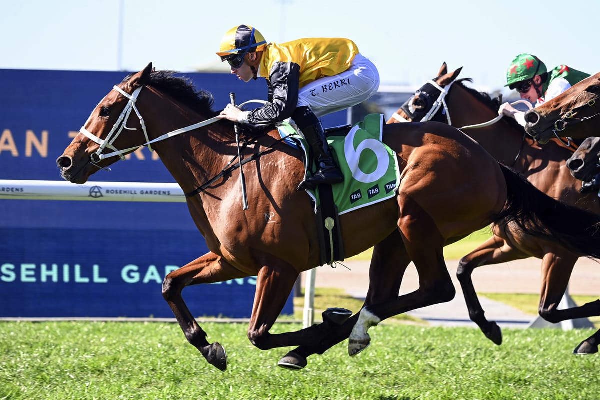 Progressive Medatsu has more to come