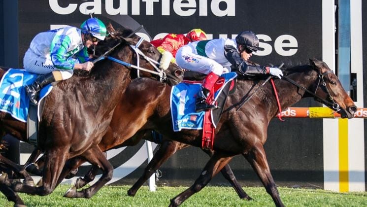 Williams looking on the Brightside for this spring